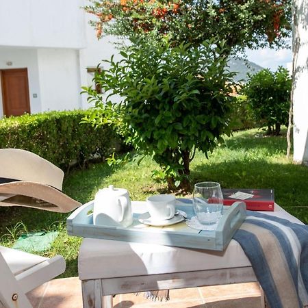 Skopelos Summer Homes Екстериор снимка
